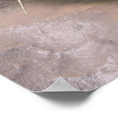 Poster Illustration réaliste du bactériophage (Coin)