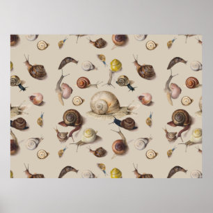 Poster Illustration scientifique d'escargots de jardin vi