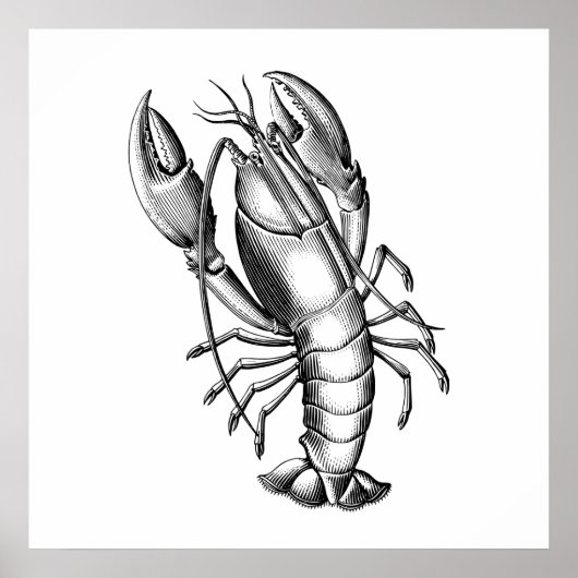 Poster Illustration scientifique du homard Vintage noir (Devant)