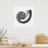Poster Illustration scientifique du Nautilus antique noir (Cuisine)