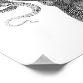 Poster Illustration scientifique du poulpe (Coin)