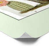 Poster Illustration scientifique vintage Cactus (Coin)