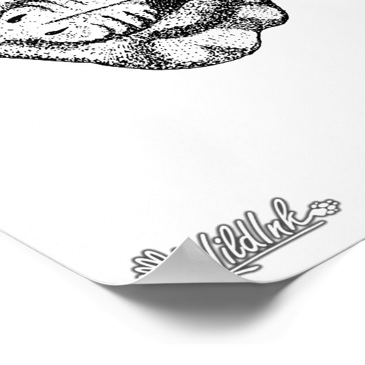 Poster Illustration Stingray (Coin)