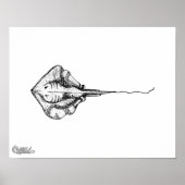 Poster Illustration Stingray (Devant)