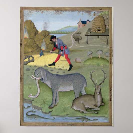 Poster Illustration tirée du livre "Book of Simple" (Devant)