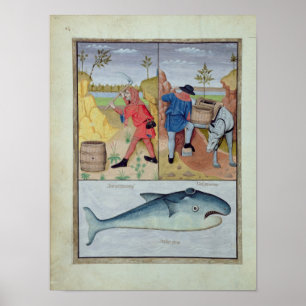 Poster Illustration tirée du "Livre des médicaments simpl