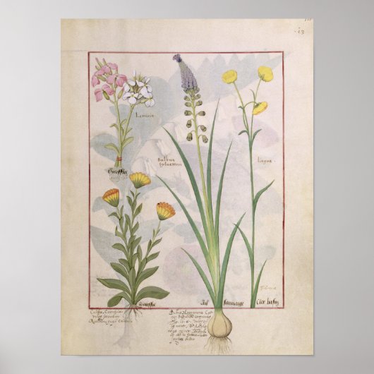 Poster Illustration tirée du "Livre des médicaments simpl (Devant)