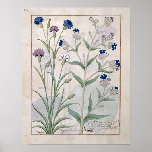 Poster Illustration tirée du "Livre des médicaments simpl (Devant)