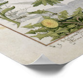 Poster Illustration tirée du "Livre des médicaments simpl (Coin)