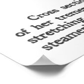 POSTER ILLUSTRATION TITANIQUE DANS CHICAGO TABLOID (Coin)