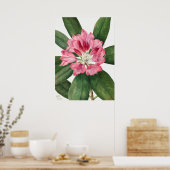 Poster Illustration vintage (Cuisine)