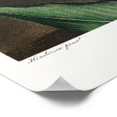 Poster Illustration vintage (Coin)