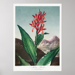 Poster Illustration vintage