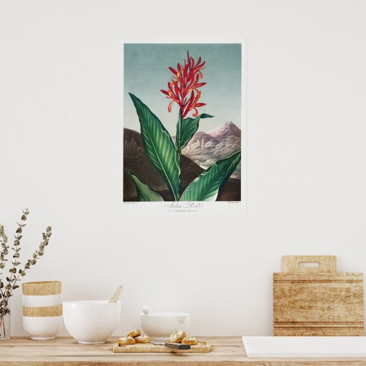 Poster Illustration vintage (Cuisine)