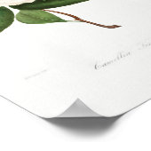 Poster Illustration vintage (Coin)