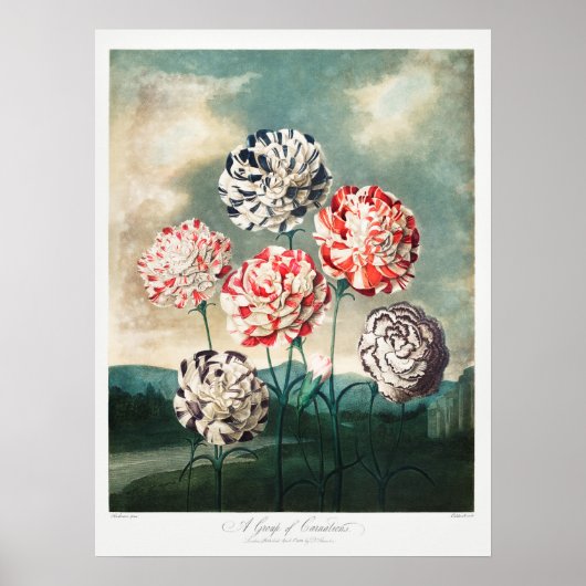 Poster Illustration vintage (Devant)