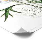 Poster Illustration vintage (Coin)