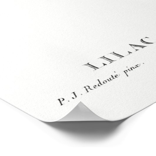 Poster Illustration vintage (Coin)