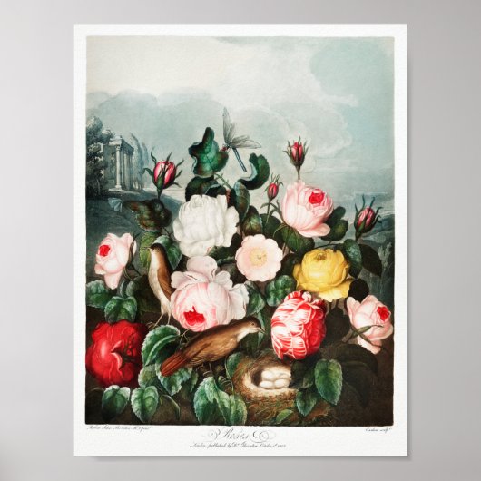 Poster Illustration vintage (Devant)