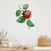 Poster Illustration vintage (Cuisine)