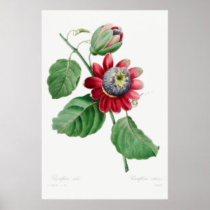 Poster Illustration vintage