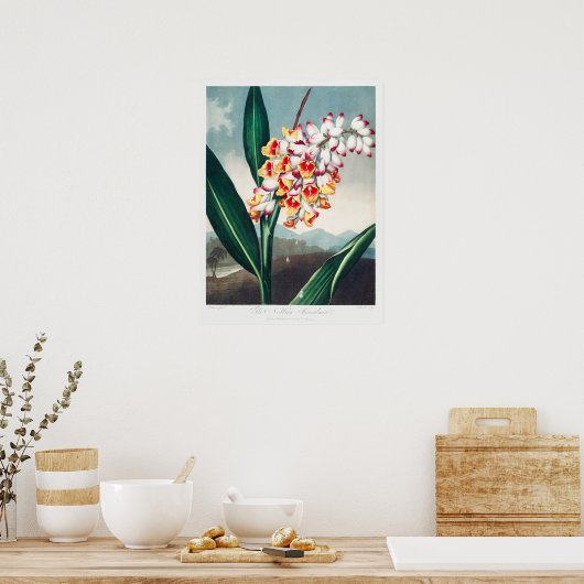 Poster Illustration vintage (Cuisine)