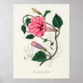 Poster Illustration vintage (Devant)