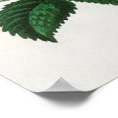 Poster Illustration vintage (Coin)