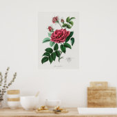 Poster Illustration vintage (Cuisine)