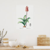 Poster Illustration vintage (Cuisine)