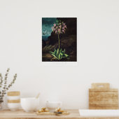 Poster Illustration vintage (Cuisine)