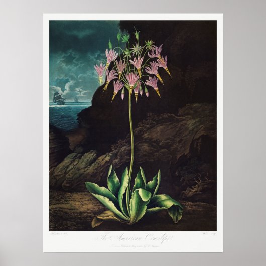 Poster Illustration vintage (Devant)