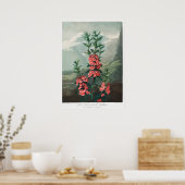 Poster Illustration vintage (Cuisine)