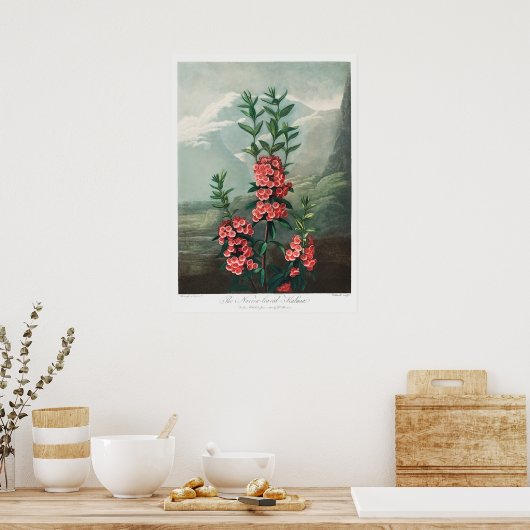 Poster Illustration vintage (Cuisine)