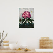 Poster Illustration vintage (Cuisine)