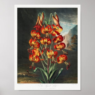 Poster Illustration vintage