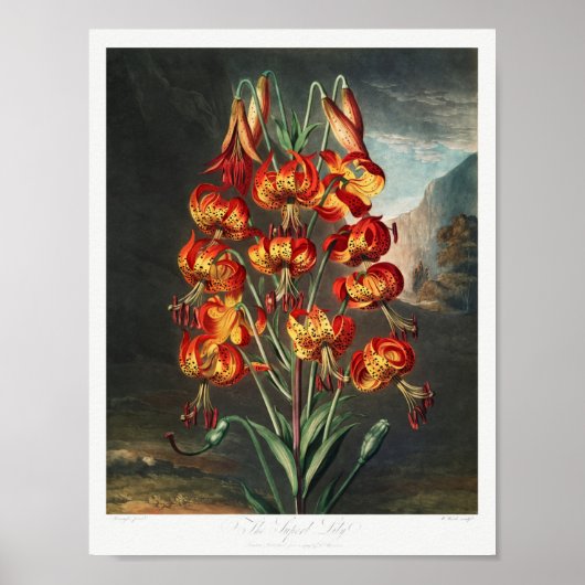 Poster Illustration vintage (Devant)