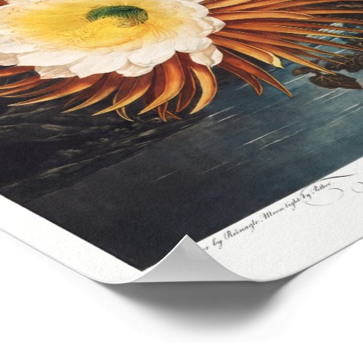 Poster Illustration vintage (Coin)