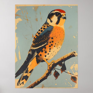 Poster Illustration vintage américaine de Kestrel