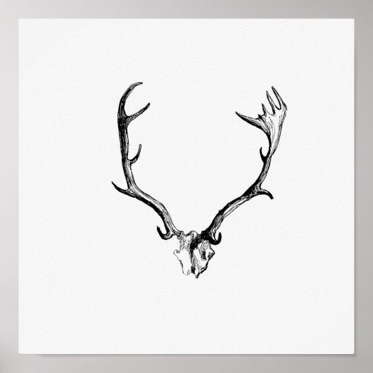 Poster Illustration vintage Antlers (Devant)