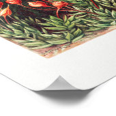 Poster Illustration Vintage artistique Nature Ernst Haeck (Coin)