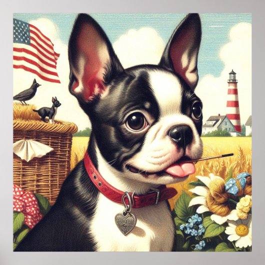 Poster Illustration vintage Boston Terrier (Devant)