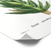 Poster Illustration vintage Cactus (Coin)