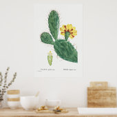 Poster Illustration vintage Cactus (Cuisine)