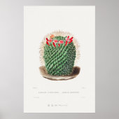 Poster Illustration vintage Cactus (Devant)