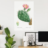 Poster Illustration vintage Cactus (Bureau à domicile)