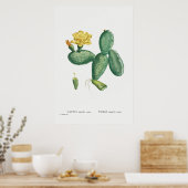 Poster Illustration vintage Cactus (Cuisine)