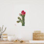 Poster Illustration vintage Cactus (Cuisine)