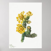 Poster Illustration vintage Cactus (Devant)