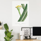 Poster Illustration vintage Cactus/Succulent (Bureau à domicile)